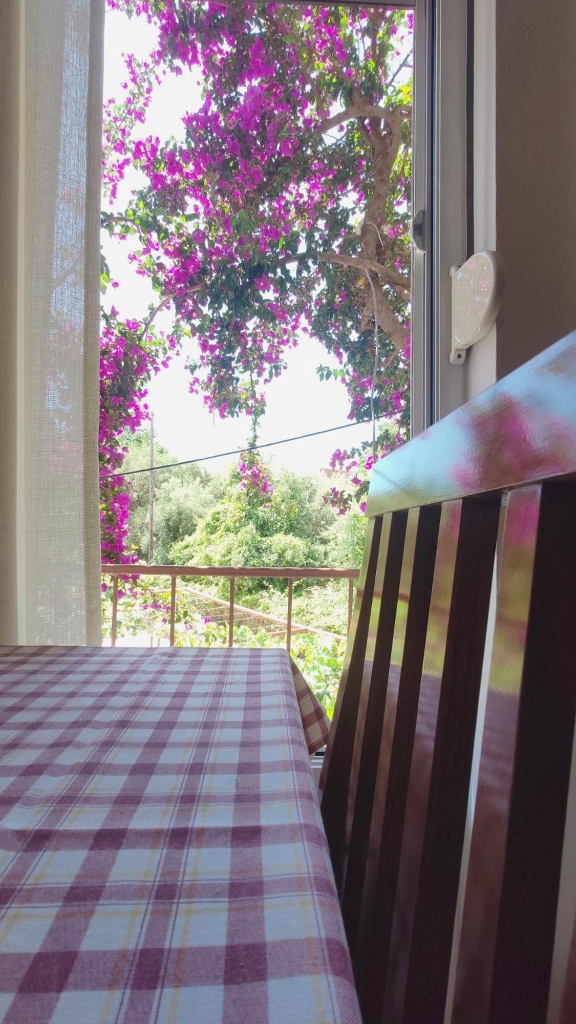 Apartments Ruza บุดวา ห้อง รูปภาพ